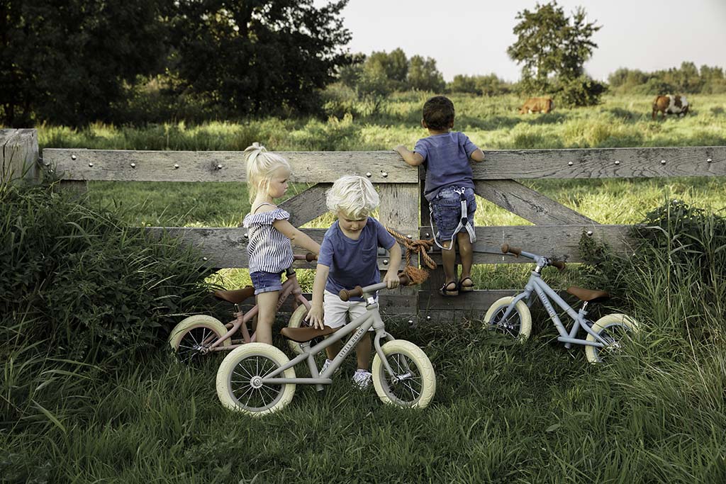 Little Dutch rozā līdzsvara bērnu skrejritenis, Balance Bike Matt Olive, 8002