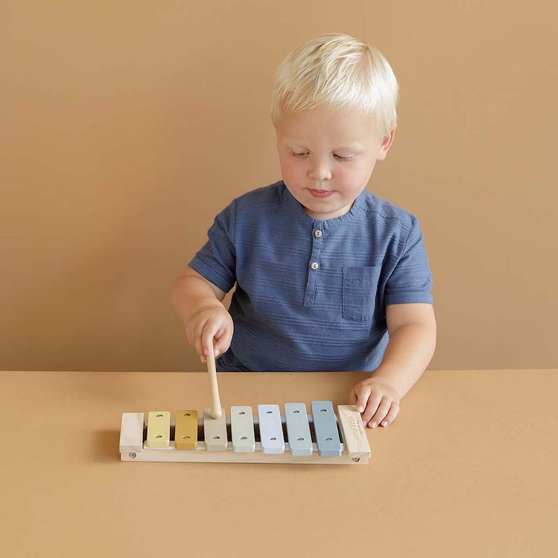 Little Dutch koka ksilofons, zils, Wooden Xylophone Blue, 7017